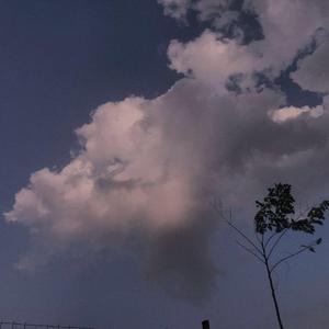 小🐔🐔插进去疯狂柔胸
