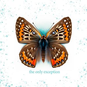 小🐔🐔插进去疯狂柔胸
